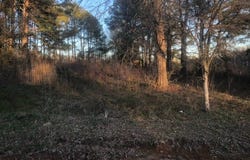TBD Integrity Rd.  Lot #3, Mccomb, MS 39648