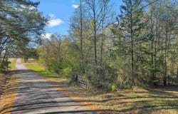 234 County Road 2238, Daingerfield, TX 75638