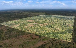 567 Walters Rd, Mason, TX 76856