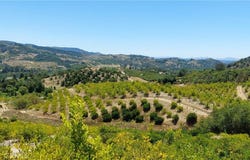 5 De Anza Road, Temecula, CA 92590