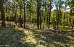 9 N1064, Greer, AZ 85927