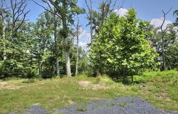 TBD LAUREL RIDGE LN, LYNDHURST, VA 22952