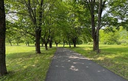 231 Tripp Hill Road, Cooperstown, NY 13326
