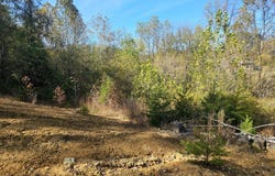 Blaine White Road, Erwin, TN 37650