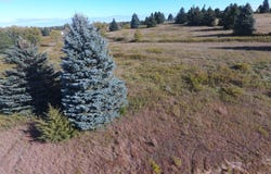 566th Avenue lot: 42, Prescott, WI 54021