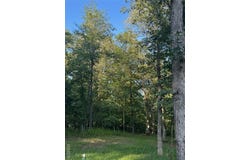 190 Steeple Point Dr. Lot #6 Drive, Defiance, MO 63341