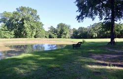 387 County Road 2101, Ivanhoe, TX 75447