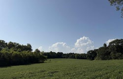 18.6 Acres +/- Highway 431, Boaz, AL 35956