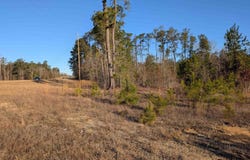 7884 Winnsboro Road, Columbia, SC 29203