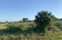 19142 NW 264th Street, Okeechobee, FL 34972