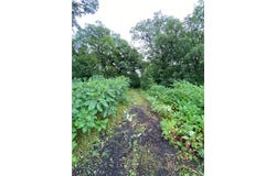 Tbd Bass Lake Lane, Aurdal Twp, MN 56586