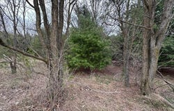 V/L double lot 11th Street, Bear Lake, MI 49614