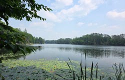W2597 HOLLISTER RD E, White Lake, WI 54491
