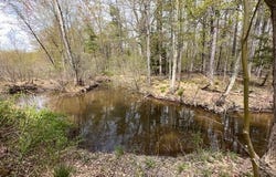276 Silver Spur Road E, Cairo, NY 12413