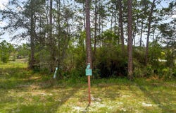 1530 Sharks Tooth Trail, Panama City Beach, FL 32413