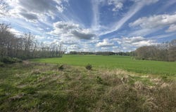 Maple Dale Road, Horton, MI 49246