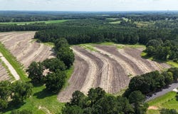 216 County Road 201 Road, Ariton, AL 36010