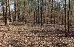 9999 Riverfront Drive, Mount Ida, AR 71957