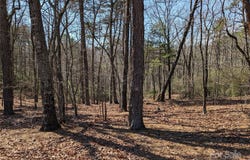 8636 Sleepy Hollow Road unit: 12, Connelly Springs, NC 28612