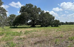 Ohnheiser Kaase Road, Schulenburg, TX 78956