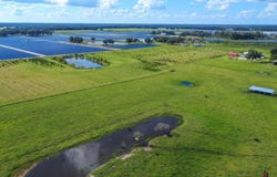 BLANTON ACRES Road, PLANT CITY, FL 33565