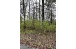 Lot 10,0.95 Ac Dry Creek Road, Cleveland, AL 35049