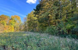 1.12 Wart Rd., Orwell, NY 13426