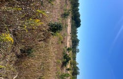 0 Sunset  Drive ( 6 Acres), Grenada, MS 38901