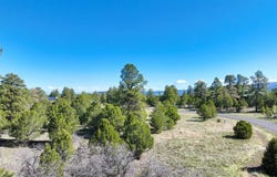 1015 Marmot Drive, Ridgway, CO 81432