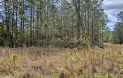 22 Sandy Point Road lot: 22, Scranton, NC 27875