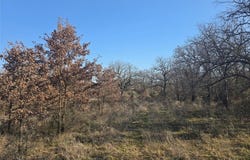 1017 VH Ranch Road, Poolville, TX 76487