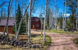 771 Spruce Road, Cimarron, CO 81220
