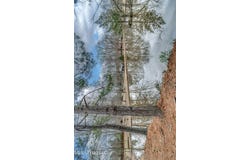 116 Anna Cove, Madison, MS 39110
