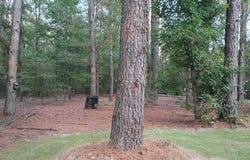 5465 Steele St, Hamilton, AL 35570