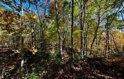 Lot 46 Honey Springs Rd, Crawford, TN 38554