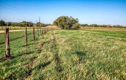 Tracts 10&11 Fieldcrest Ln, Burton, TX 77835
