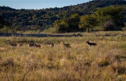 7702 Ranch Road 965, Llano, TX 78643