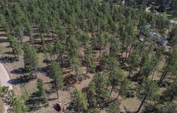 Wolf Lane, Custer, SD 57730