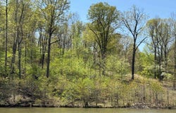 Lot 14 Hualapi Dr, Cherokee Village, AR 72529