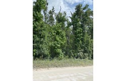 NE 173rd Ave, Old Town, FL 32628
