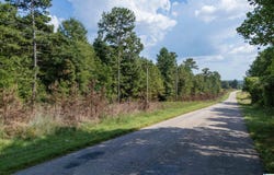 COUNTY ROAD 87 lot: 7, ROANOKE, AL 36274