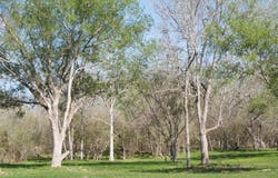 1527 County Road 412, Stockdale, TX 78160