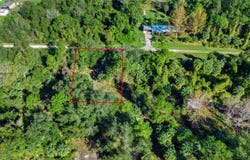 334 BIRCH BOULEVARD, GEORGETOWN, FL 32139