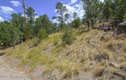 Pine Knot Trail lot: 6, Alto, NM 88312