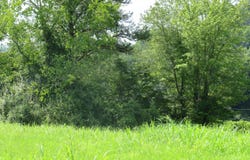 504 Nantz Road, London, KY 40741