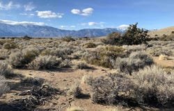 1290 Jo Lane, Gardnerville, NV 89410