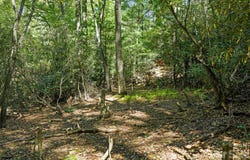 Davenport Road, Spruce Pine, NC 28777