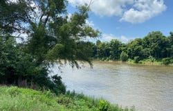 365 River Bridge Trail, Biggers, AR 72413