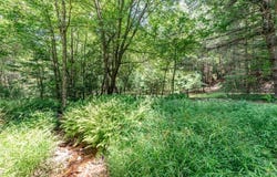Lot 14 Rocking Chair Ridge, Mineral Bluff, GA 30559