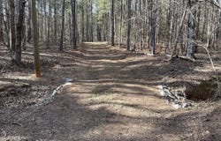 Lot 15 Blackberry Bend, Elberton, GA 30635